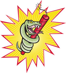 Rattle Snake Coiling Dynamite Cartoon