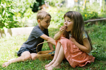 Kids in the vegetable garden mid day