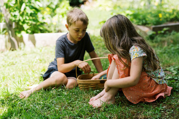 Kids in the vegetable garden mid day