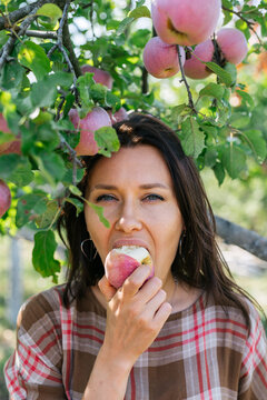 Young and attractive female picking organic apples from her orchard