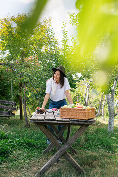 Young and attractive female picking organic apples from her orchard