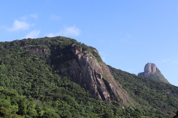 Forest and Mountains in Rio de Janeiro Brazil