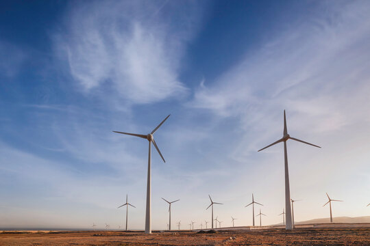 Renewable energy, wind turbines power plant at sunset, blue sky.