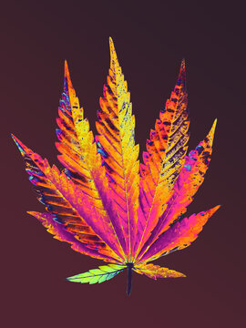 Isolated marijuana, cannabis leaf in iridescent colors