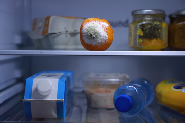 moldy mandarin in fridge