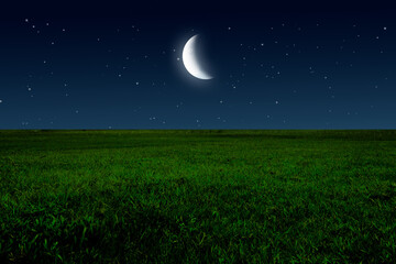 Fototapeta premium Night in meadow with half moon and stars