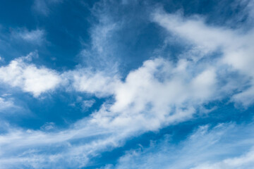 Fototapeta premium Sunny day sky with clouds