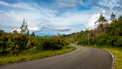 Rural nature landscape with empty road
