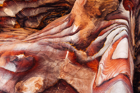 Colourful natural pattern