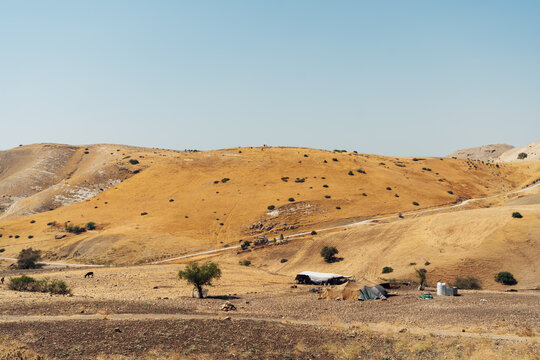 Landscape with beduin tents