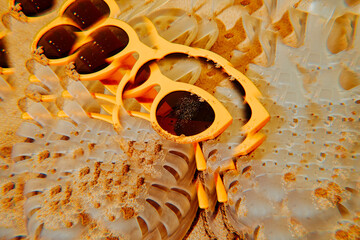 kaleidoscopic image of sunglasses and sandals