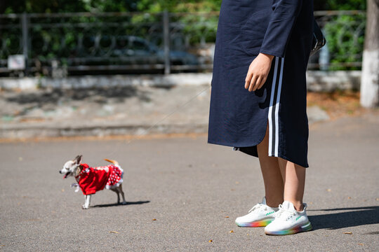 woman with prosthetic arm walking her dog