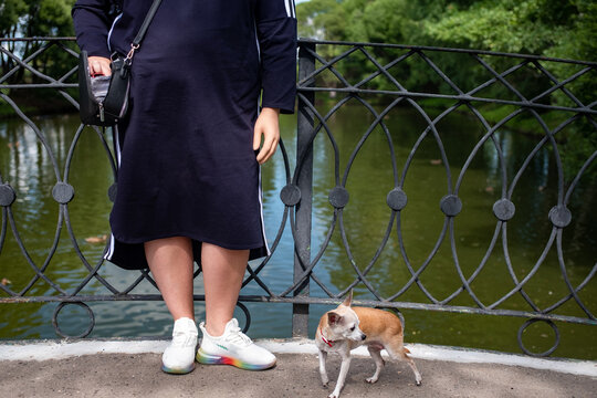 woman with prosthetic arm walking her dog