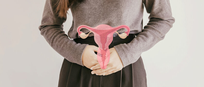 woman with uterus, female reproductive system , woman health, PCOS, gynecologic and cervix cancer concept