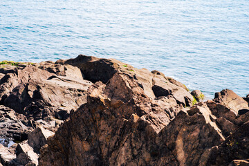 Sea rock on the ocean coast