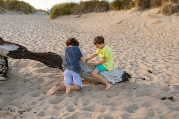 Children carving fallen tree trunk at the beach