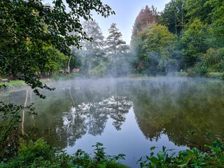 pond in the forest
