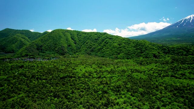 青木ヶ原樹海と富士山を空撮