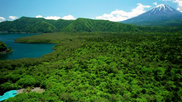 青木ヶ原樹海と富士山を空撮