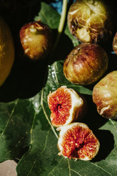 Summer figs