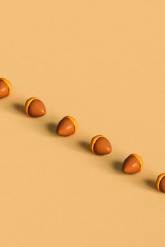 a row of acorns