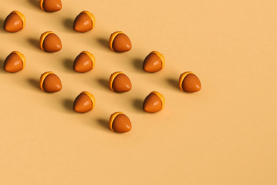 rows of many acorns