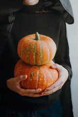 hands holding a pumpkin close-up