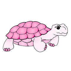 The Pink Turtle