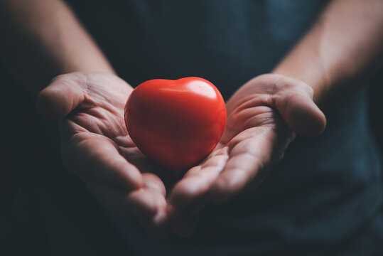 Hands holding and giving red heart for love, health care, organ donation, world heart day, world health day, mindfulness, well being, family insurance concept.
