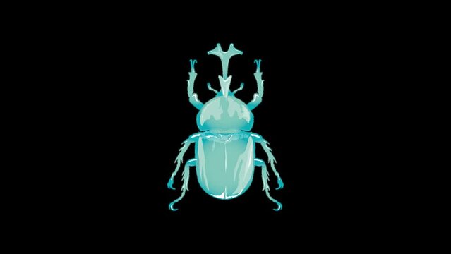 Insect Beetle color change multicolor カブトムシ