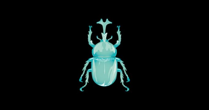 Insect Beetle color change multicolor カブトムシ