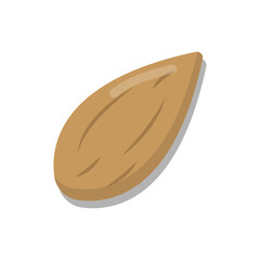 Vector graphic of almond. Food illustration with flat design style. Suitable for content design assets