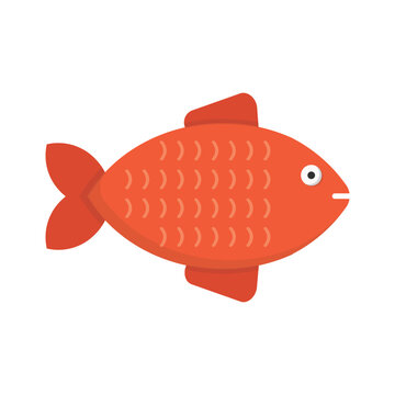 Vector graphic of fish. Red fish illustration with flat design style. Suitable for content design assets