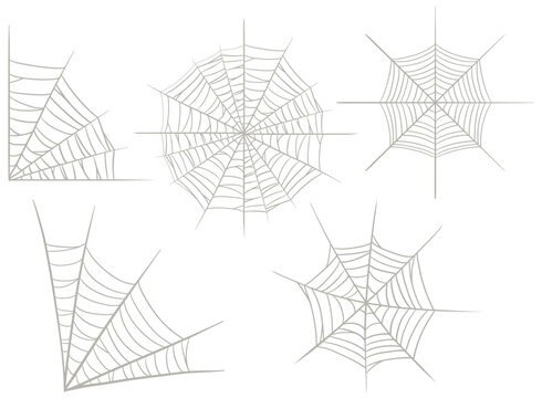 Set of different spiderweb on white background