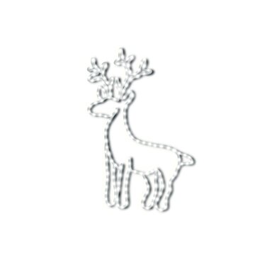 Christmas White Deer Isolated Hand Drawn Illustration	