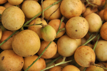 Long kong , Texture of long kong background, Closeup of Lang sat, Tropical fruit, Lansium domesticum in the market
