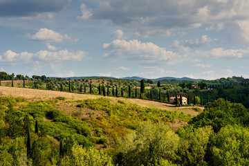 Fototapeta na wymiar landscape of Tuscany 