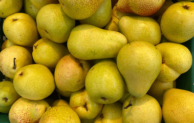 Yellow background with fresh pears.