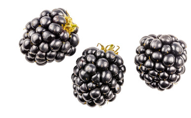 Blackberries berries, isolated on white backgrounds.