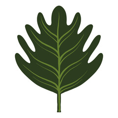 Tropical leaf illustration vector