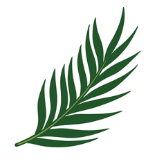 Tropical leaf illustration vector