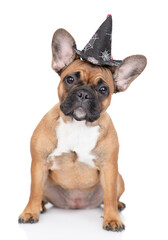French Bulldog puppy wearing hat for halloween sits in front view. Isolated on white background