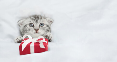 Cute tabby kitten lying under white blanket and holding a gift box. Top down view. Empty space for...