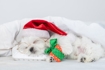 Tiny Maltese puppy wearing red santa hat sleeps with gift box and hugs toy bear under white blanket at home
