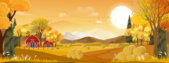 Ingelijste posters Vector Autumn panorama landscape farm field with orange sky, Beautiful sunset in Autumn countryside panorama view with yellow foliage,Fall season with copy space for banner background © Anchalee