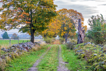 Dirt road between stone walls in a rural landscape at autumn