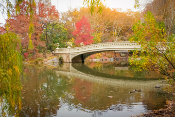 Bow Bridge and lake in Central Park, New York City at golden autumn, USA