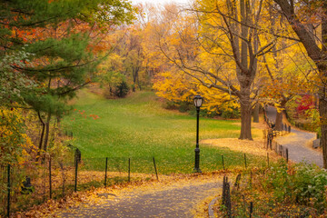 Fototapeta na wymiar Central Park in New York City at golden autumn, United States