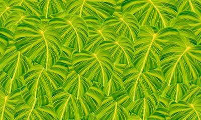 green tropical  leaves watercolor paint  spring nature wallpaper background