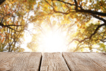 Naklejka na ściany i meble Empty wooden table in autumn forest on sunny day